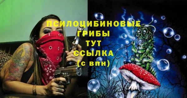 спиды Абаза