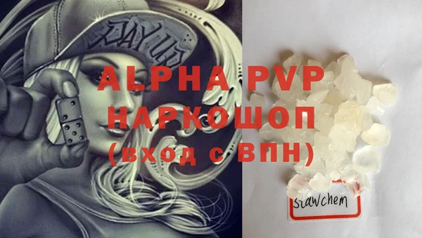 спиды Абаза