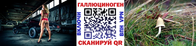 купить  цена  Томари  Псилоцибиновые грибы Psilocybine cubensis 