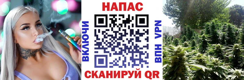 Бошки марихуана семена  купить закладку  kraken зеркало  Томари 
